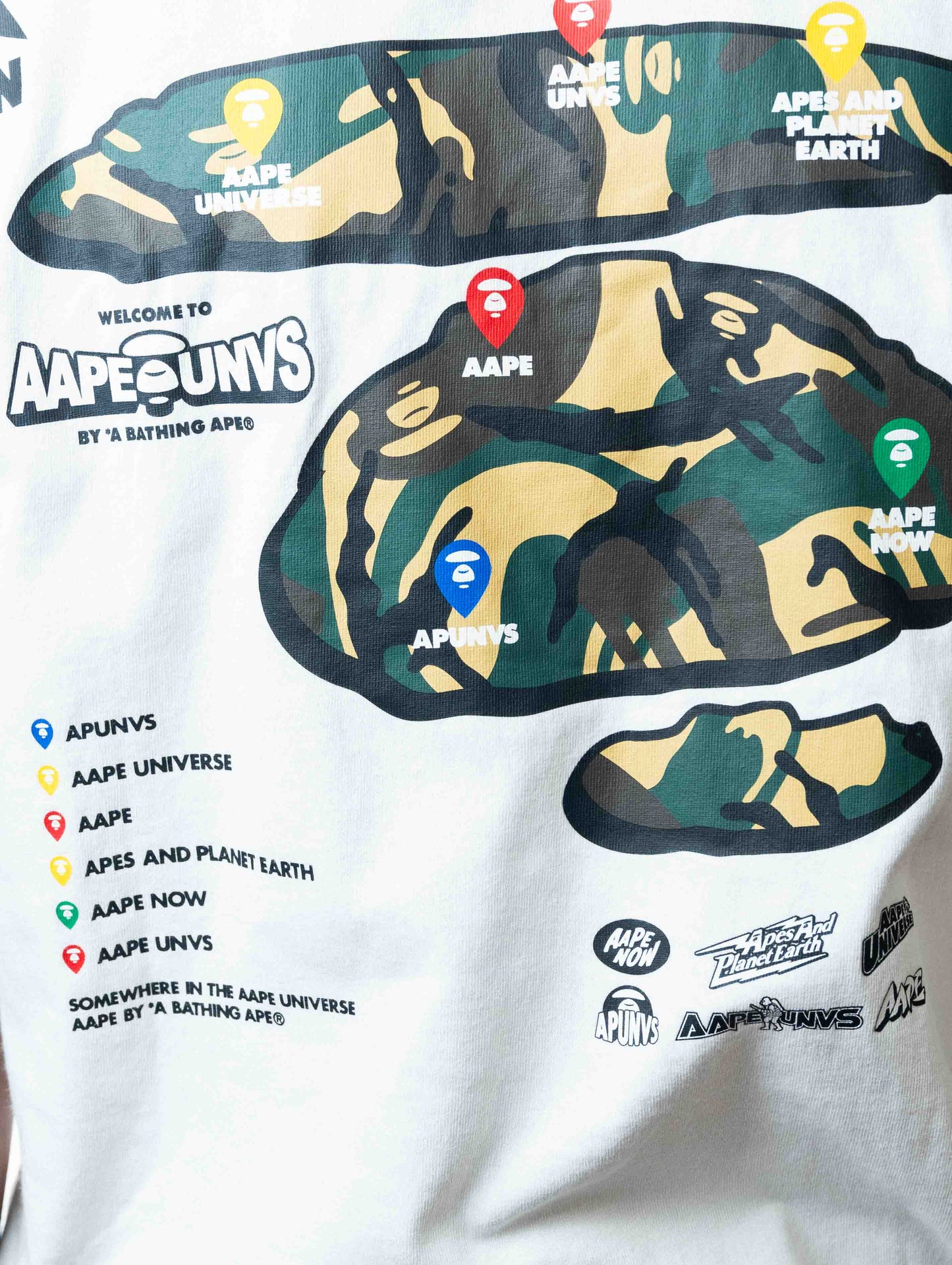 Aape by a Bathing Ape Theme Tee