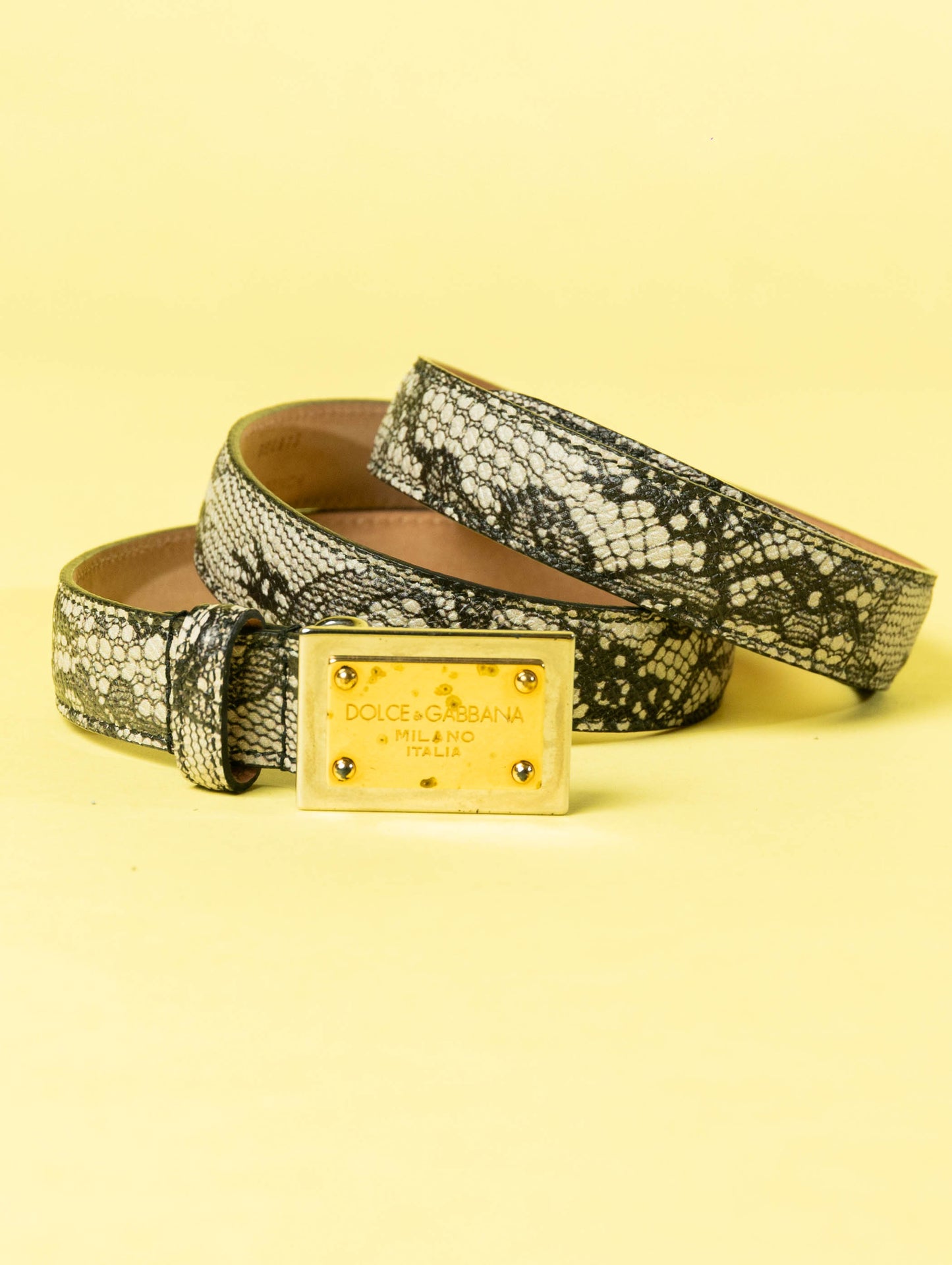 Dolce & Gabbana Python Ladies Belt Snake Skin