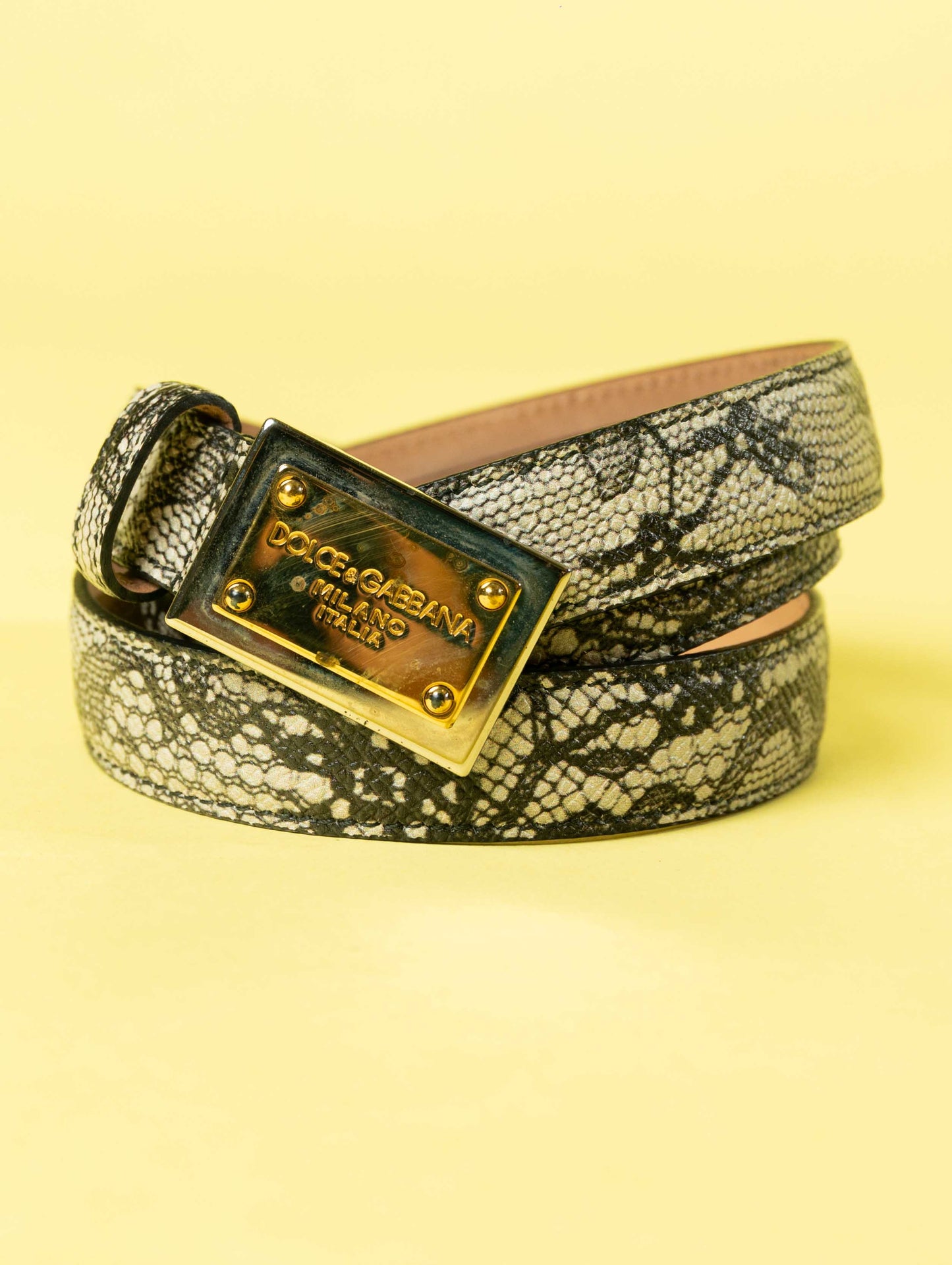 Dolce & Gabbana Python Ladies Belt Snake Skin