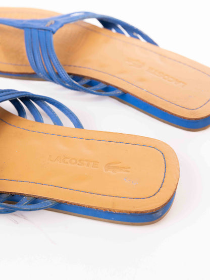 LACOST SLIDES BLUE BROWN