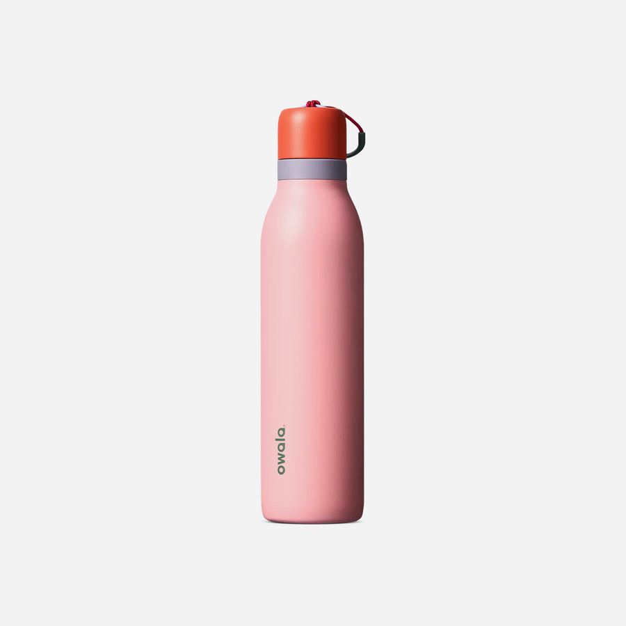 Owala FreeSip Twist 24oz Stainless Steel Water Bottle Sugar High