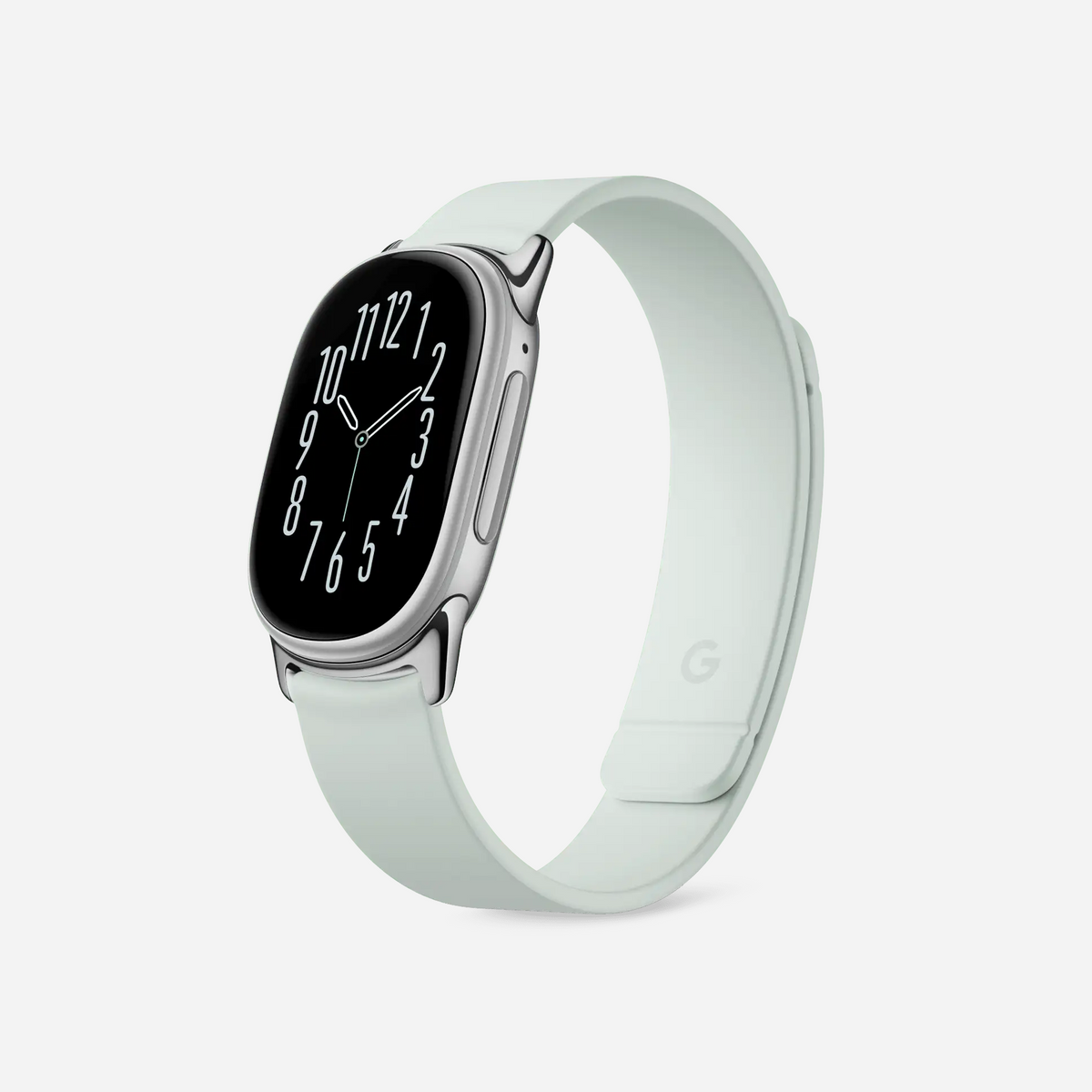 Google Fitbit Edge Magnet Band Fog Polished Silver lugs (Band Only)