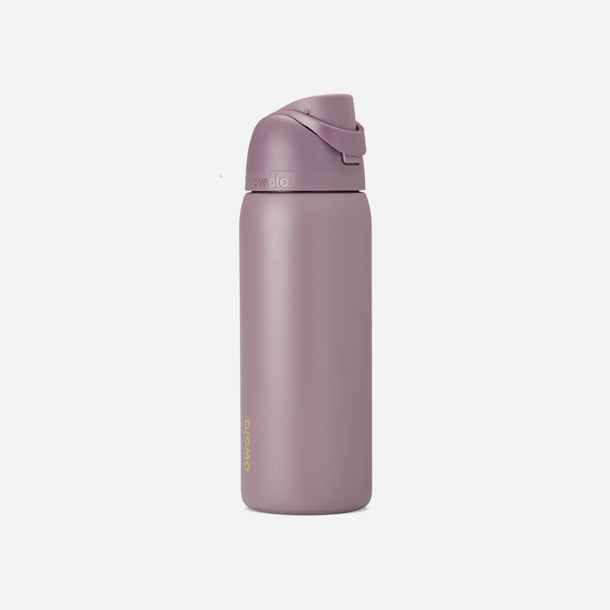 Owala FreeSip 32oz Stainless Steel Water Bottle Spring Revival