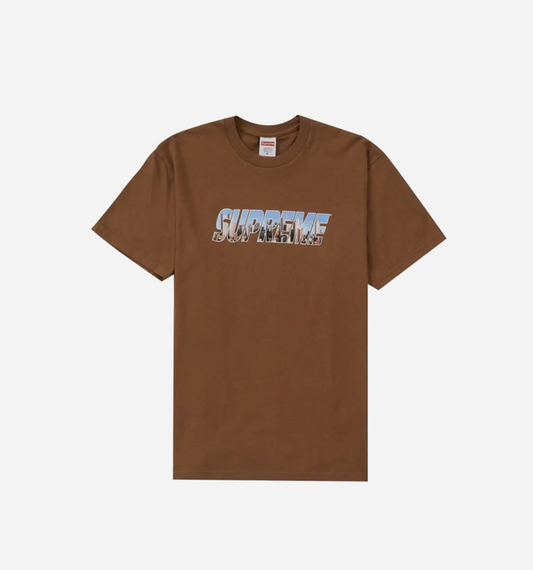 Supreme Gotham Tee Lt brown