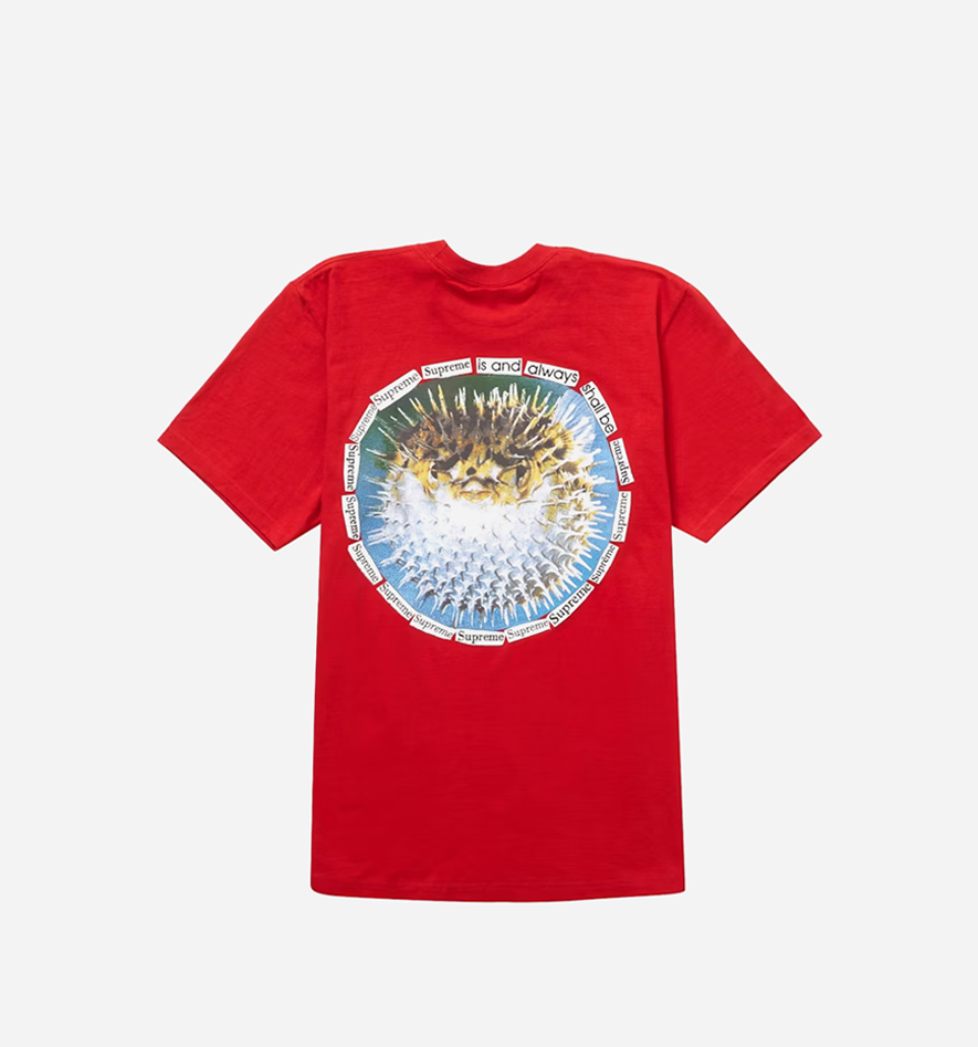 Supreme Blowfish Tee Red