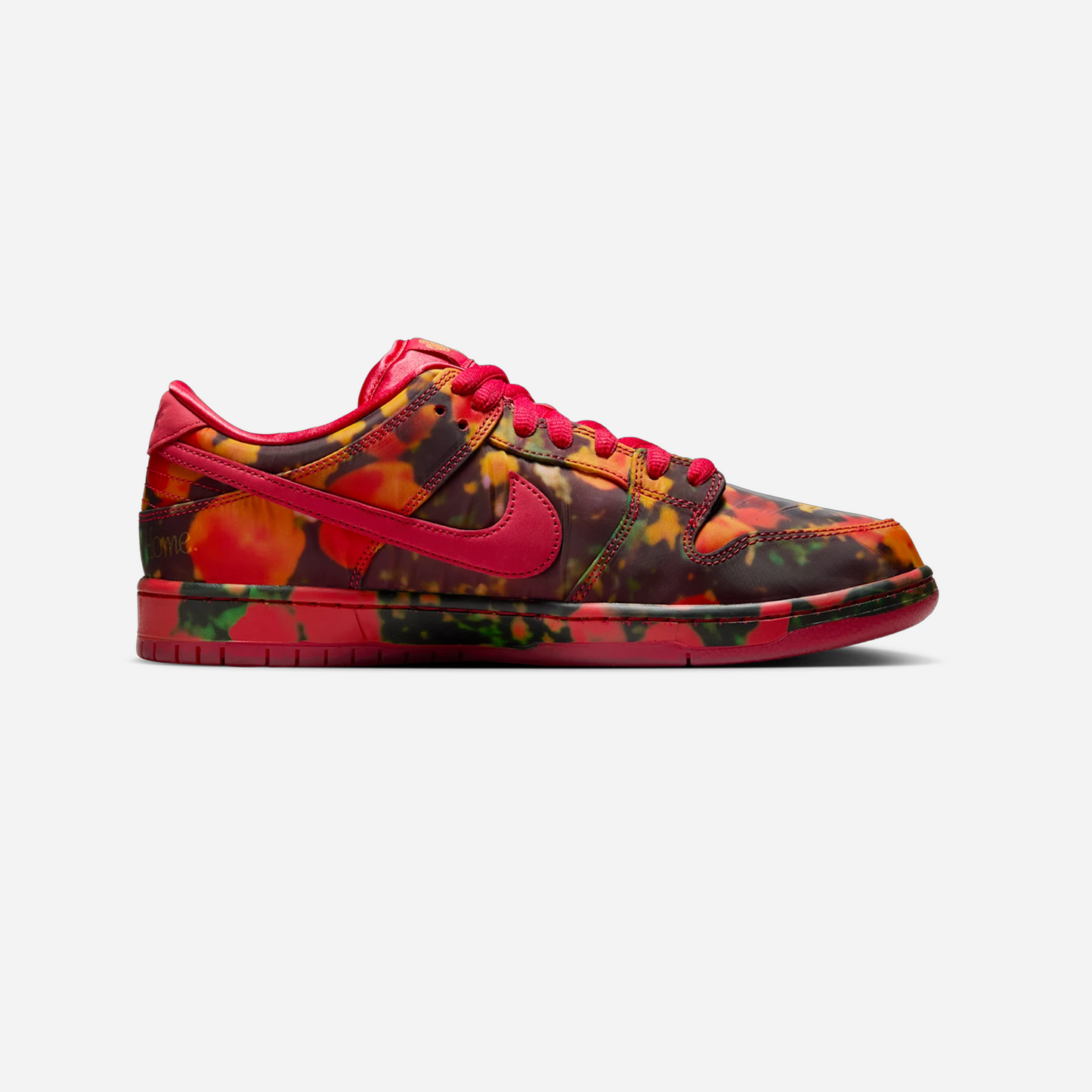 Nike SB Dunk Low Pro "The Wizard of Oz"